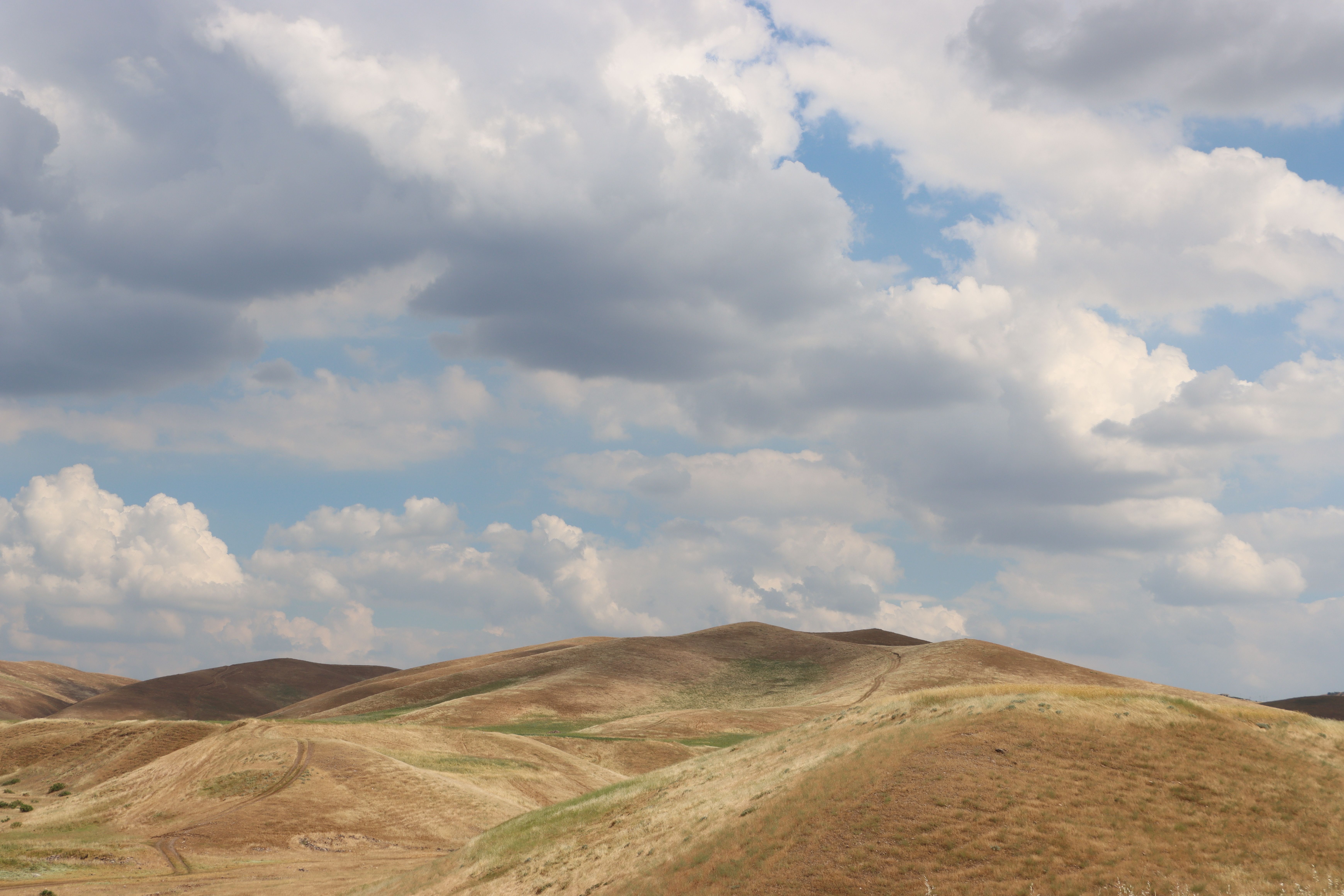 Expansive Rolling Hills Under Cloudy Sky · Free Stock Photo