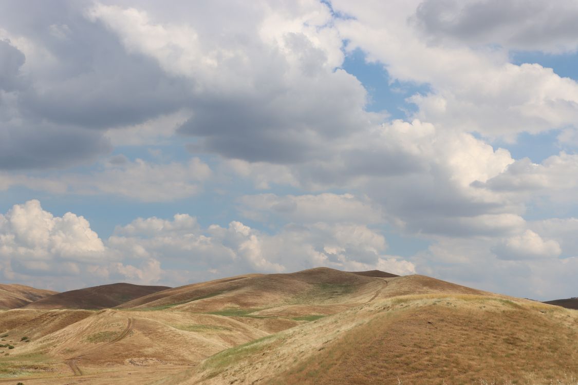 Expansive Rolling Hills Under Cloudy Sky · Free Stock Photo