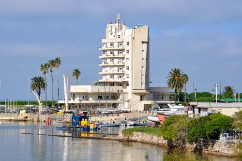 Free A scenic view of a modern building with palm trees by the waterfront in Montevideo, Uruguay. Stock Photo