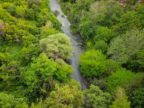 Free Aerial view of a vibrant, dense green forest with a tranquil river weaving through. Stock Photo