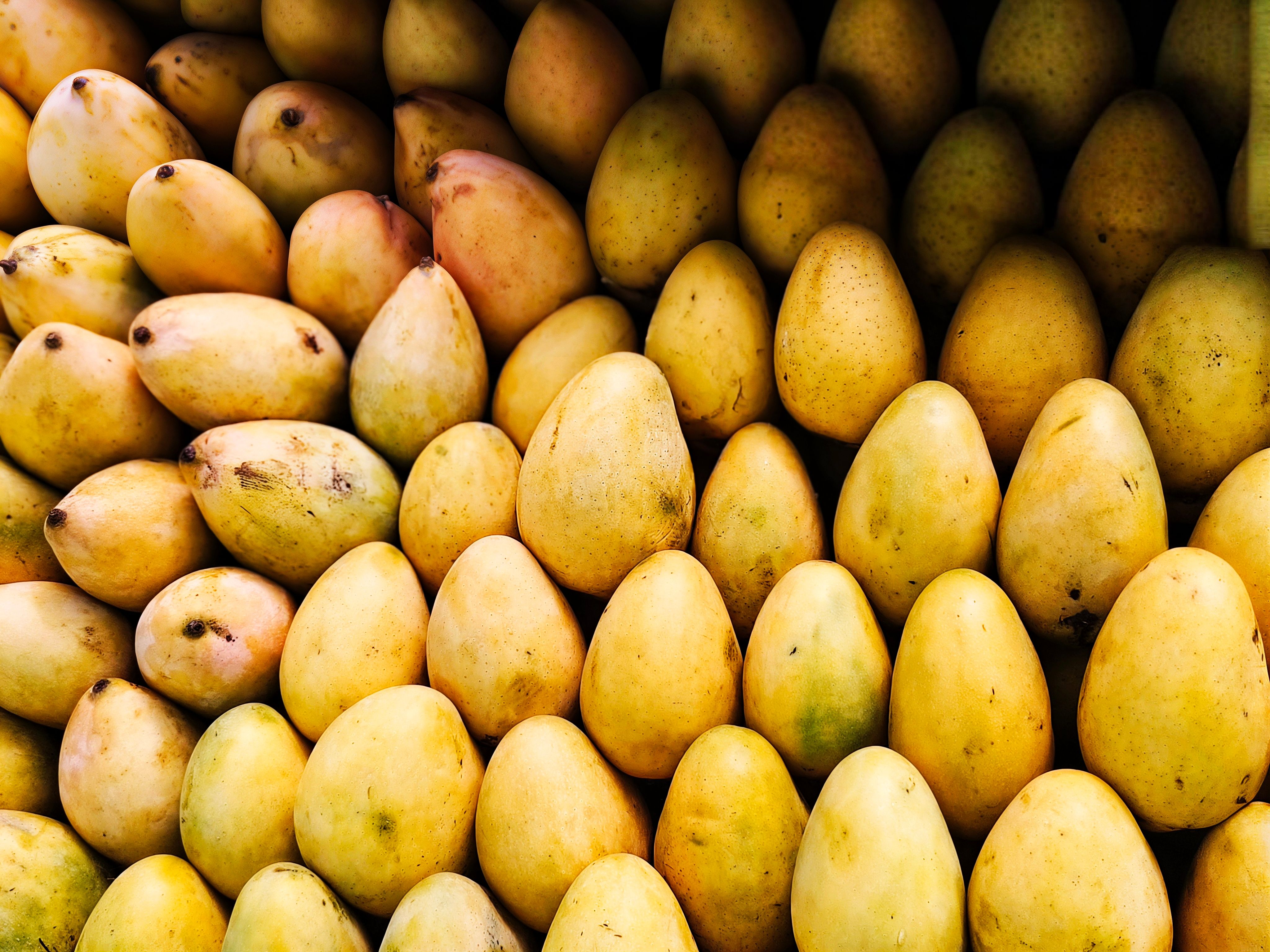 Pakisztáni mango lassi – krémes joghurtos mangóital házilag – pakistani mango variety chaunsa fresh
