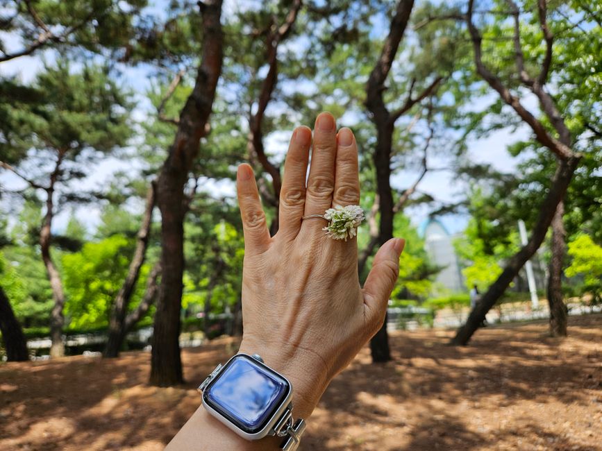 smart ring vs smartwatch