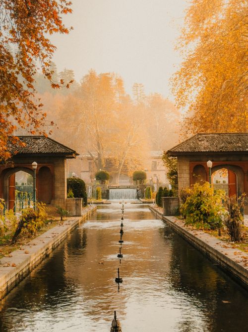 Free Tranquil autumn view of Achabal Garden with vibrant foliage and reflective water channels. Stock Photo