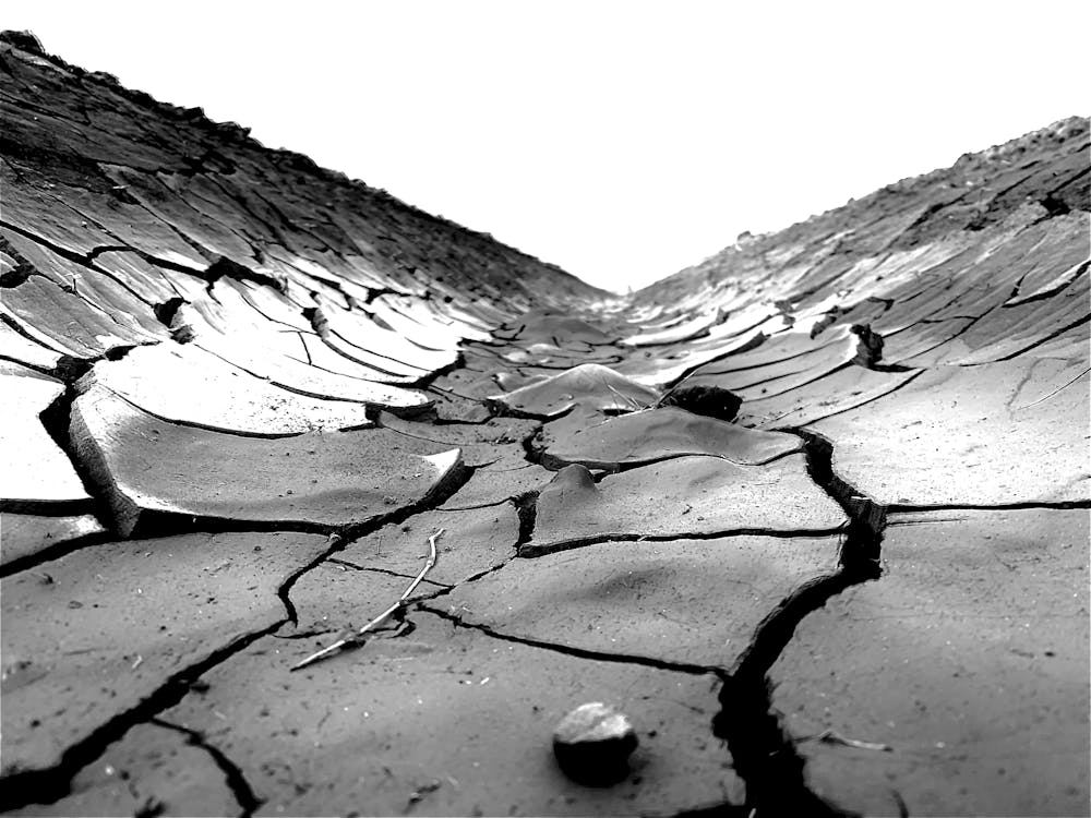Grayscale Photo of Soil Cracks