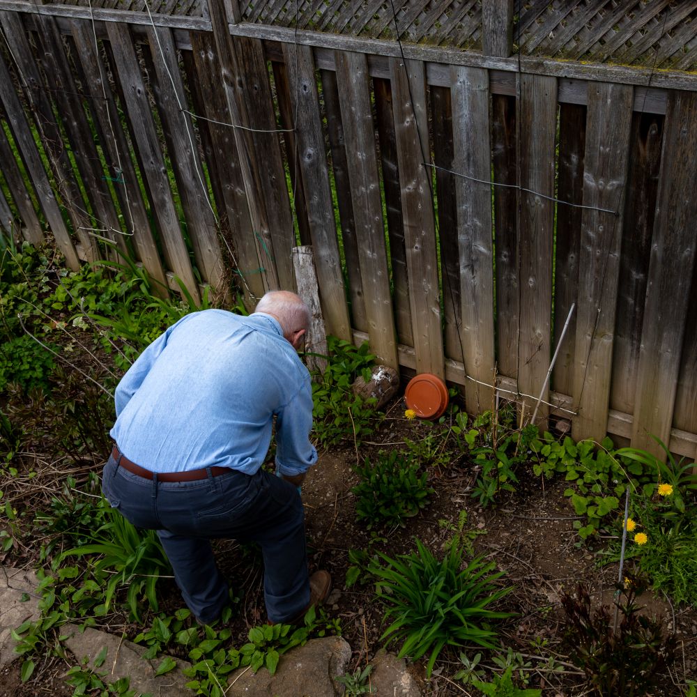 Fence and Decking Painting in Blackheath Royal Standard — careful masking before painting begins