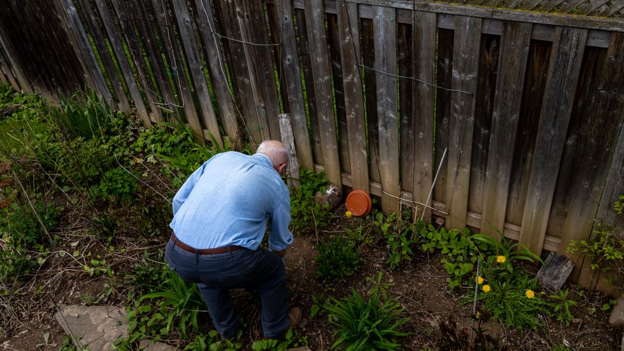 How to Actually Use Garden Catalogs Without Getting Buried in Them