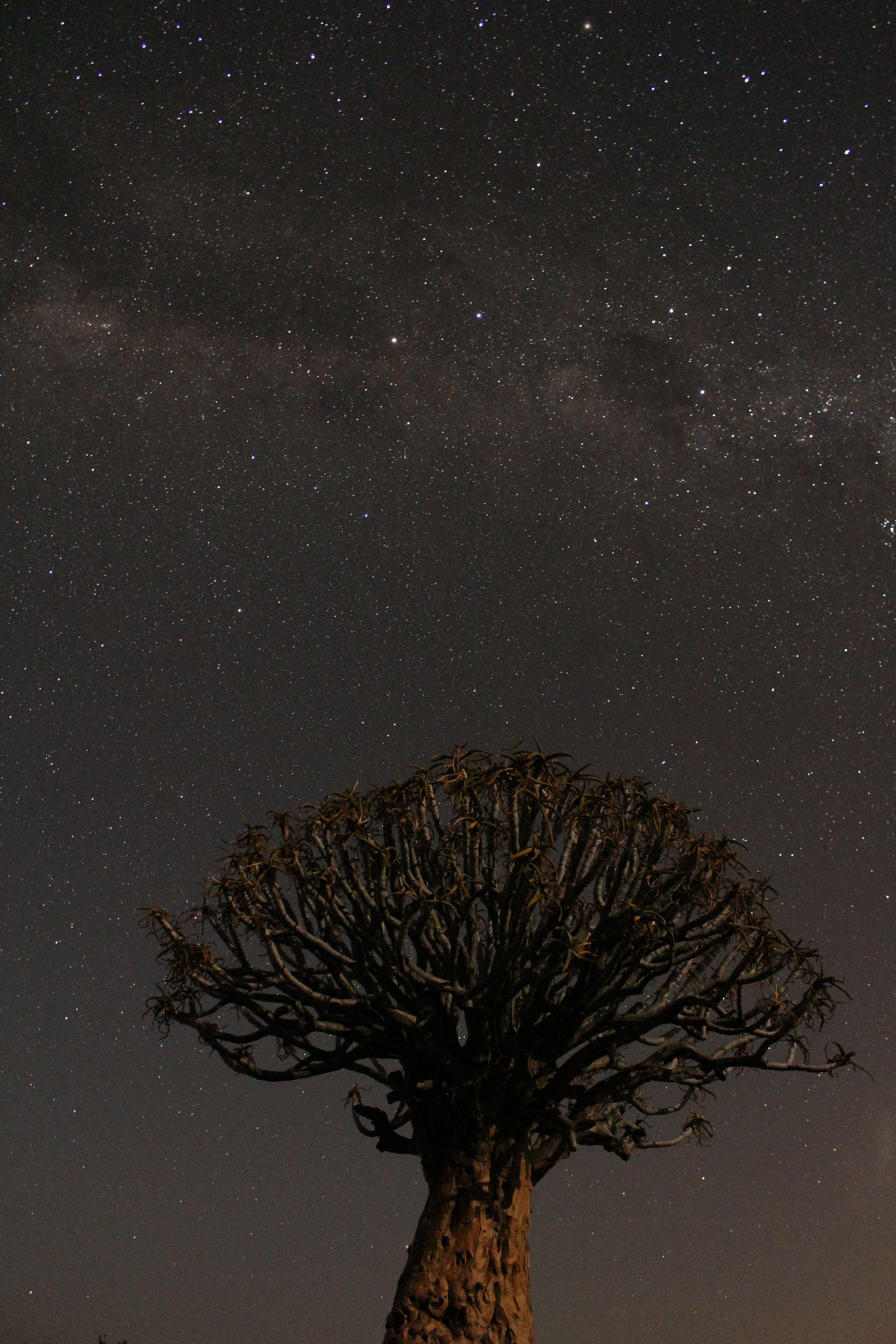 NamibRand Nature Reserve, Namibia