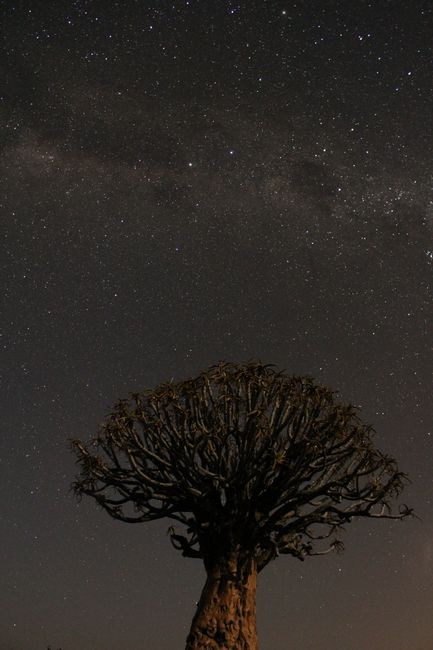 NamibRand Nature Reserve, Namibia