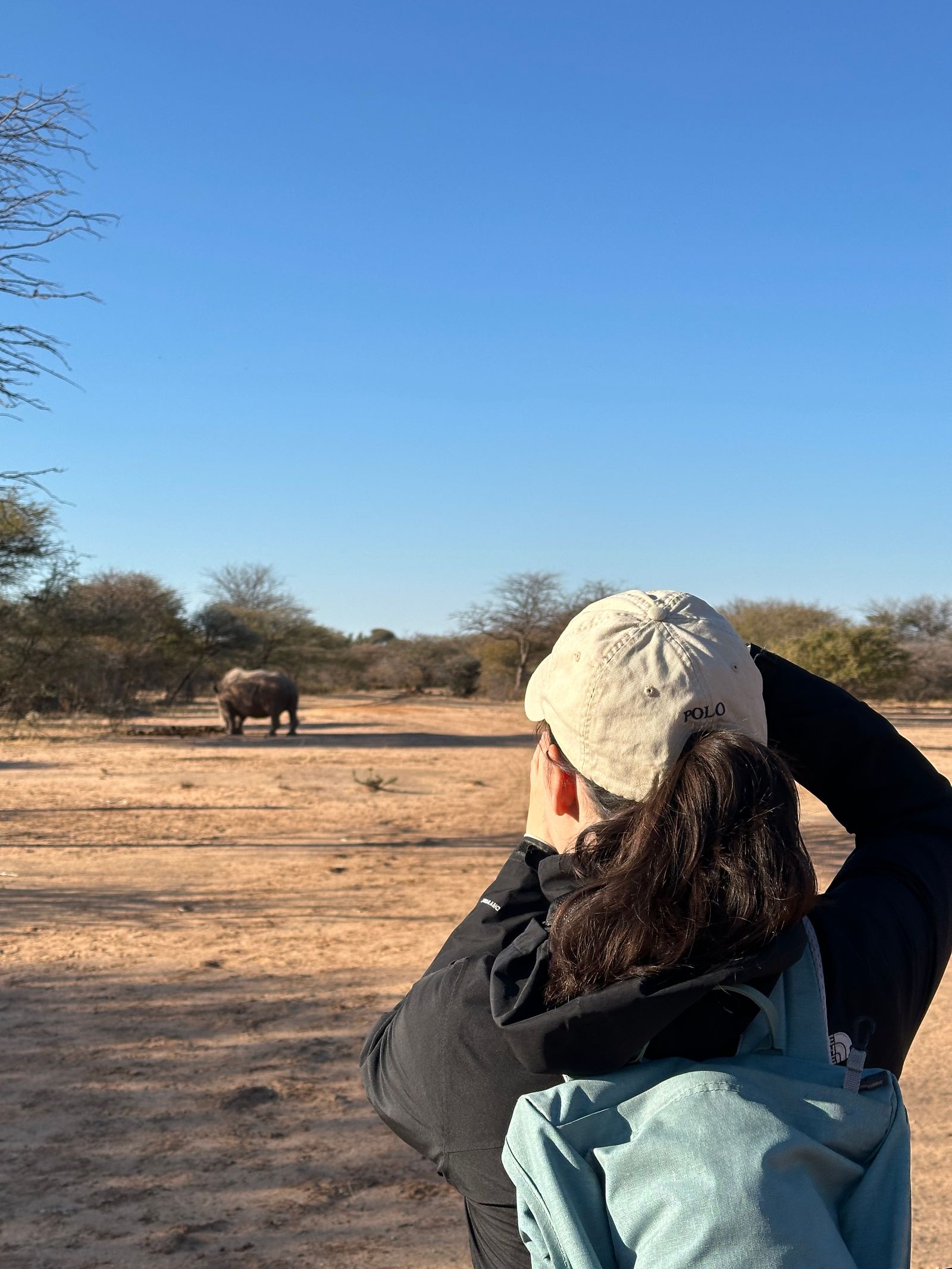 5 Tips for Capturing Better Safari Photos on Your Phone