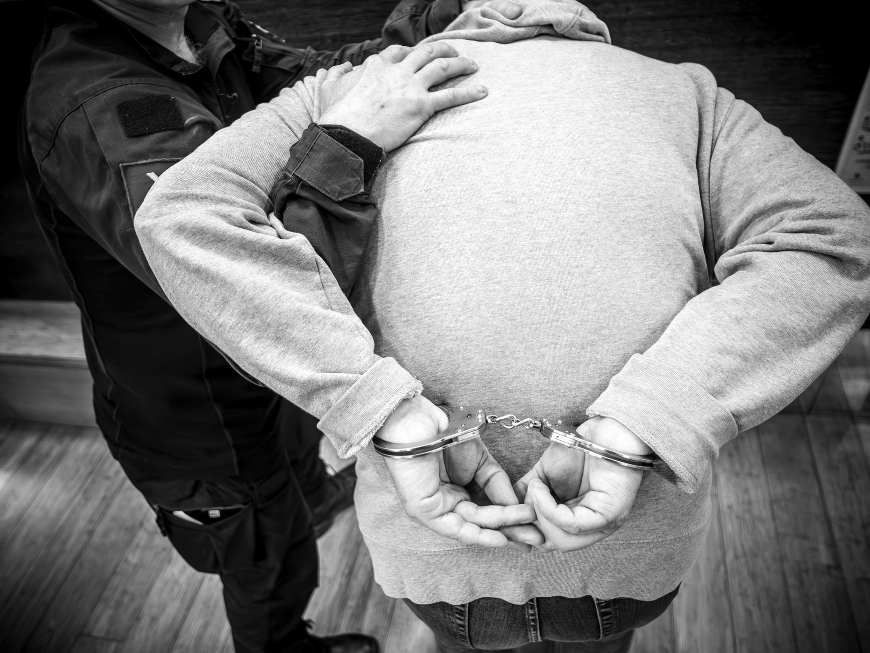 Man (35) opgepakt voor houden van puppy's ondanks verbod in Eindhoven