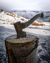 Axe on a Tree Stump