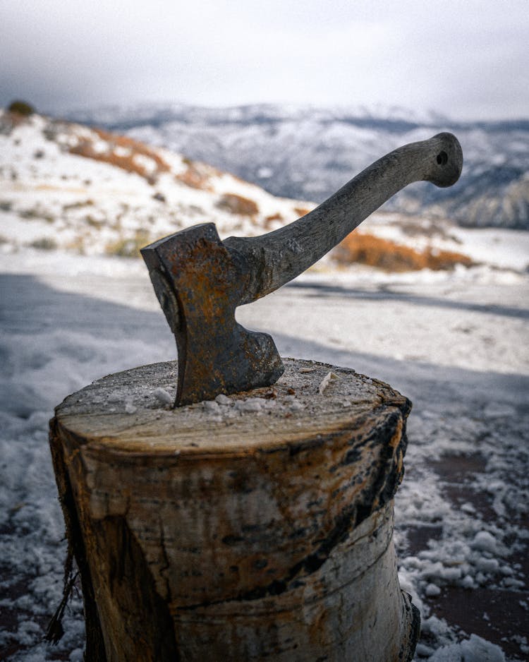 Axe On A Tree Stump