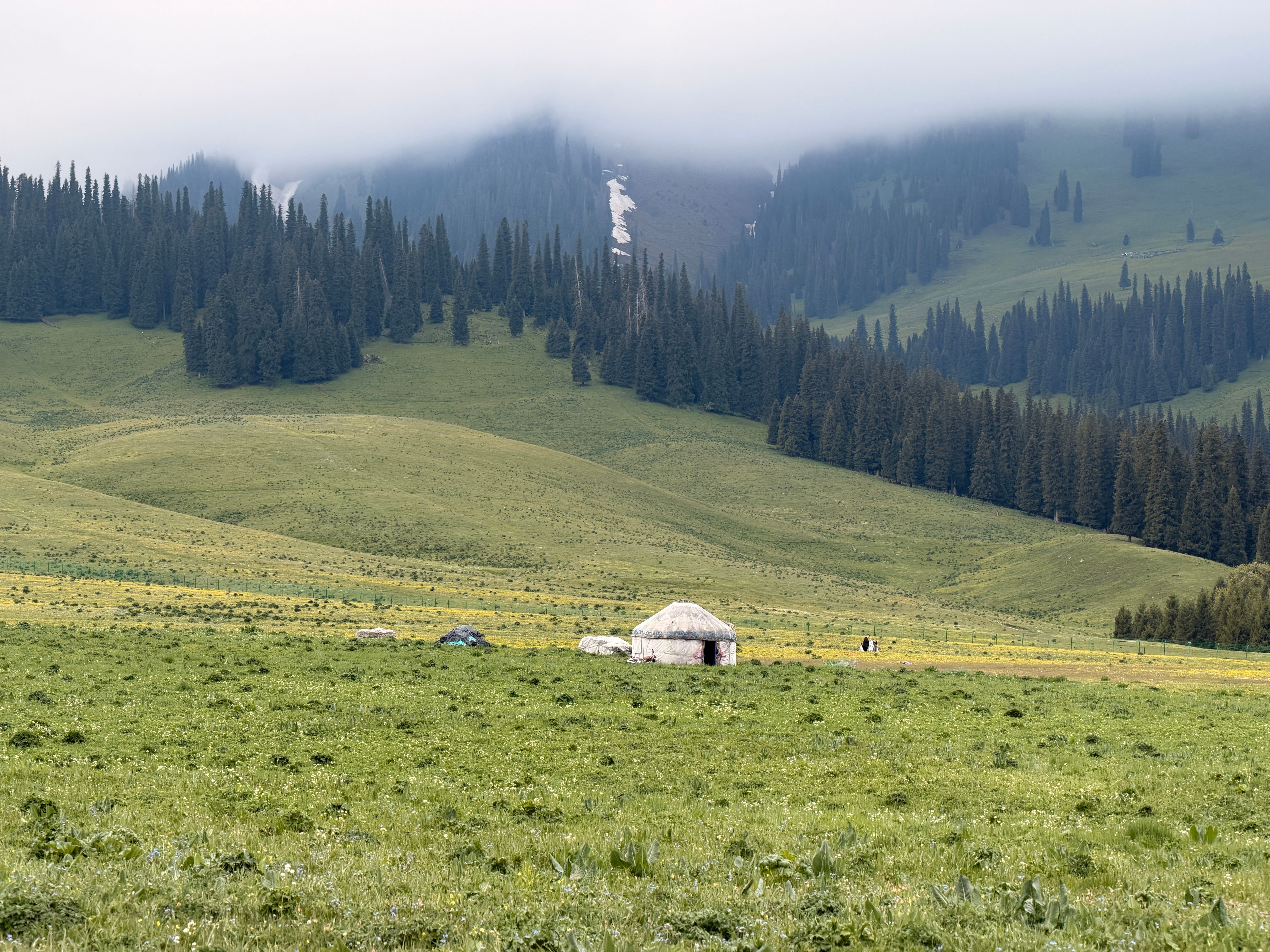 Serene mountain landscape featuring a traditional yurt amidst lush greenery and misty hills.