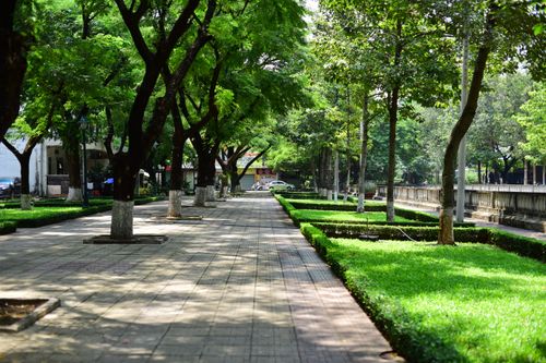 Free Serene outdoor park pathway surrounded by lush green trees in summer. Stock Photo