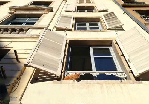 Charming ginger cat lounging on a window ledge of an urban European building in daylight.