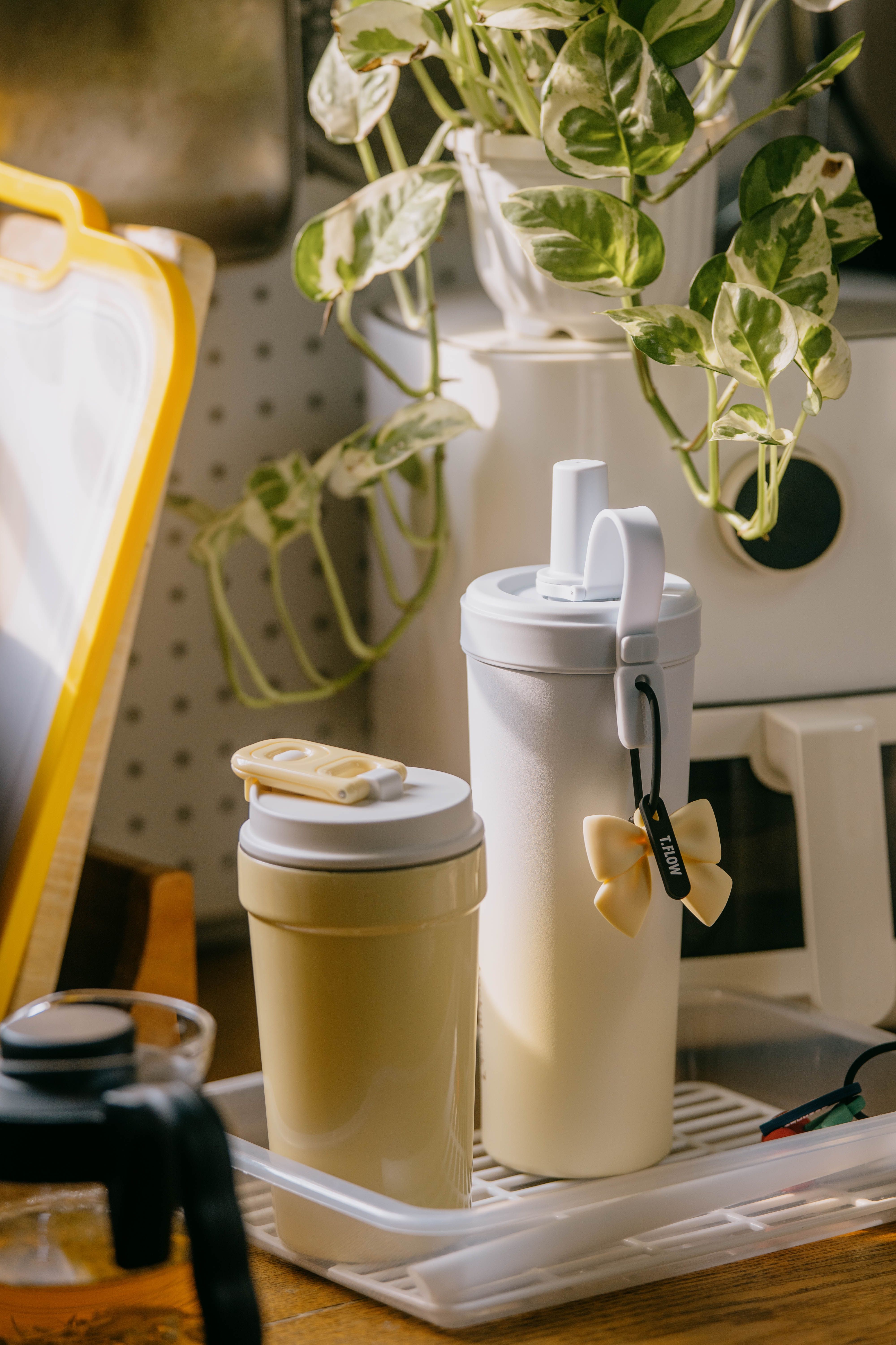 Two elegant reusable travel mugs on a kitchen counter with plant decor in natural light.