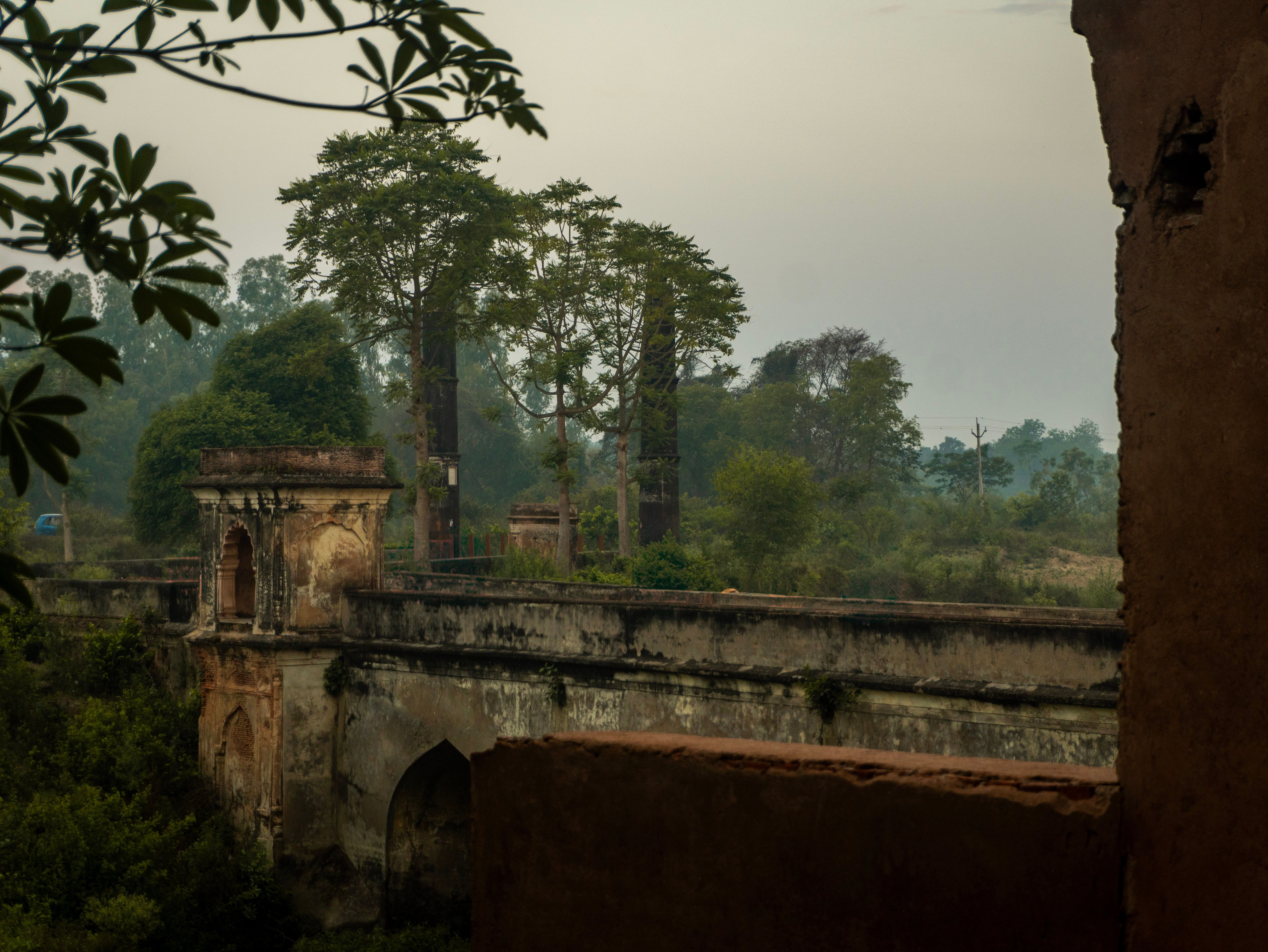 Aligarh Tala