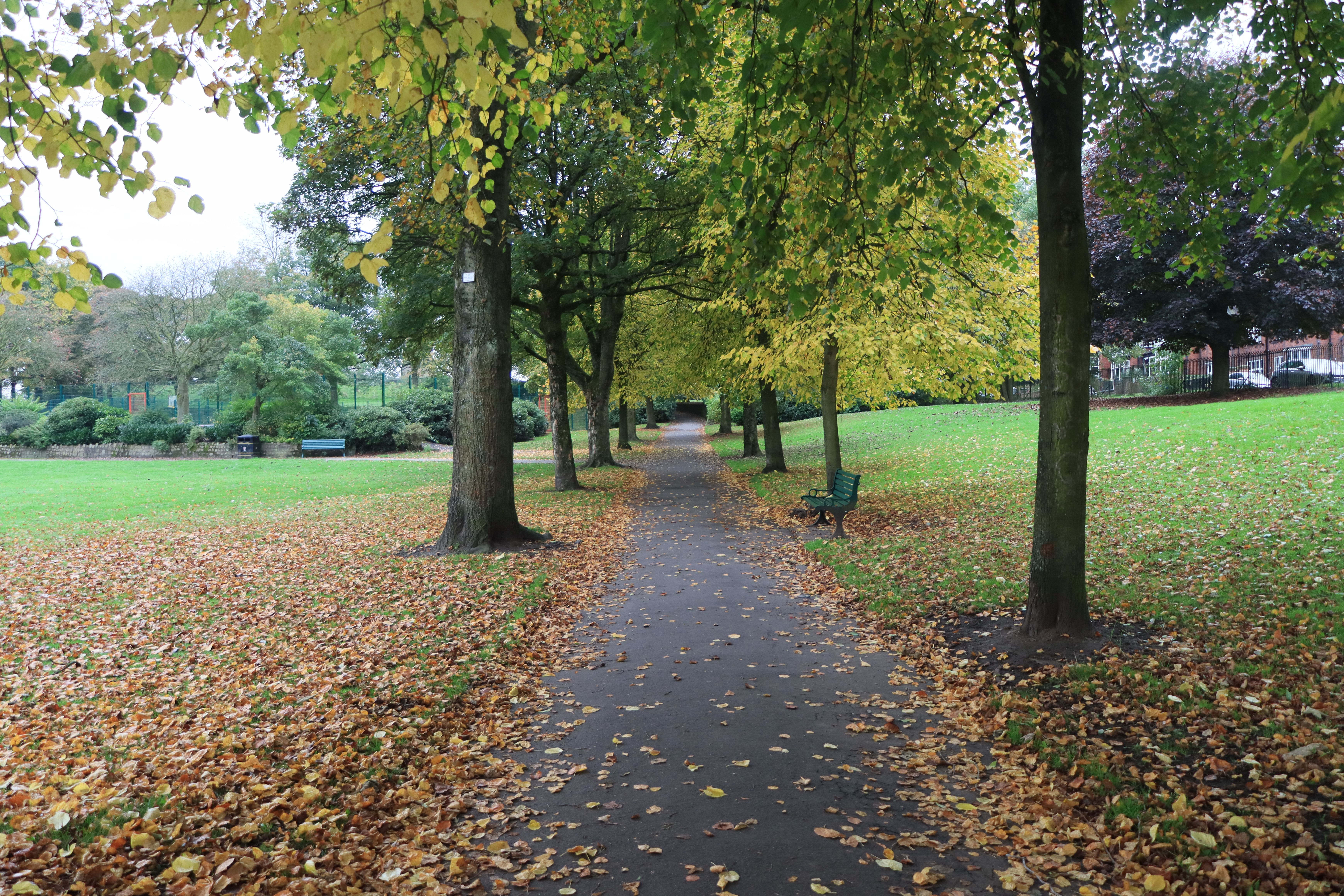 Serene park pathway with fallen autumn leaves and green trees in England.