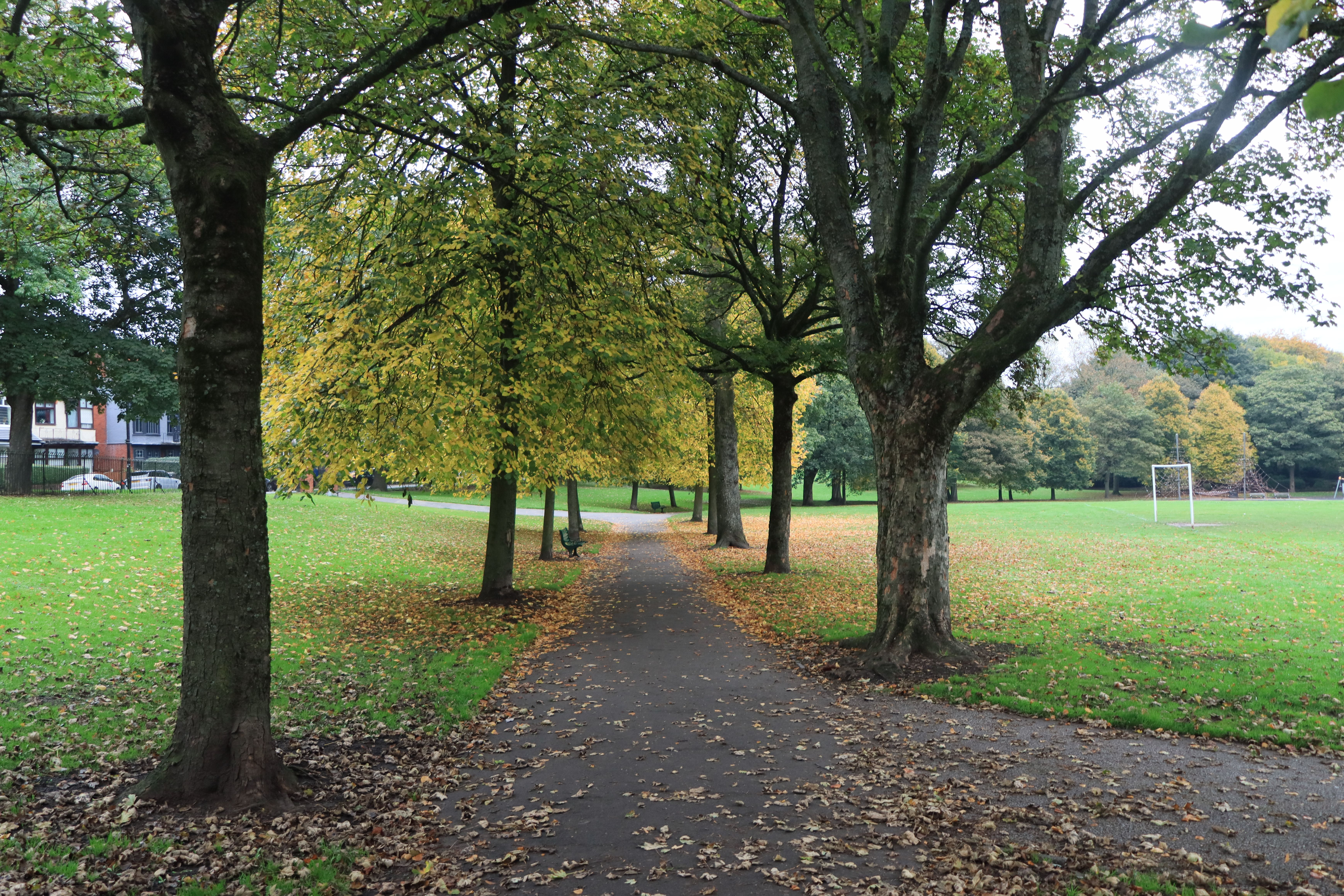 Tranquil park scene in England with autumn foliage and a winding path.
