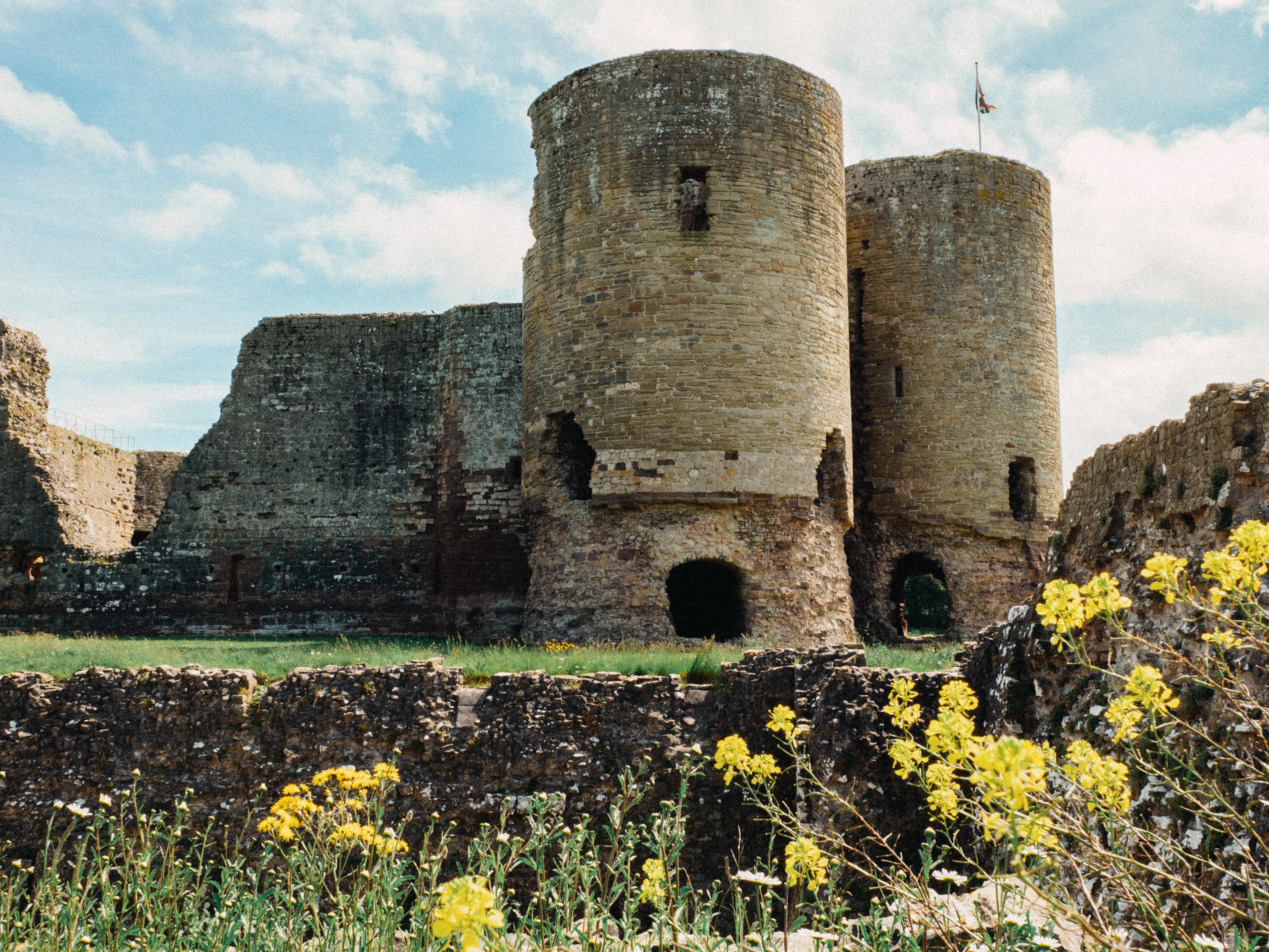 View of ancient Rhuddlan Castle with vibrant wildflowers, captured on a sunny day.