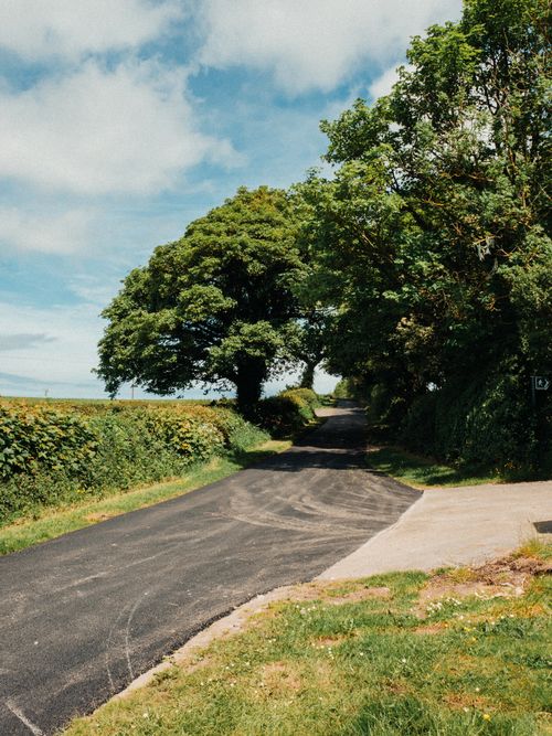 Free A peaceful countryside road surrounded by green foliage and trees under a clear blue sky. Stock Photo