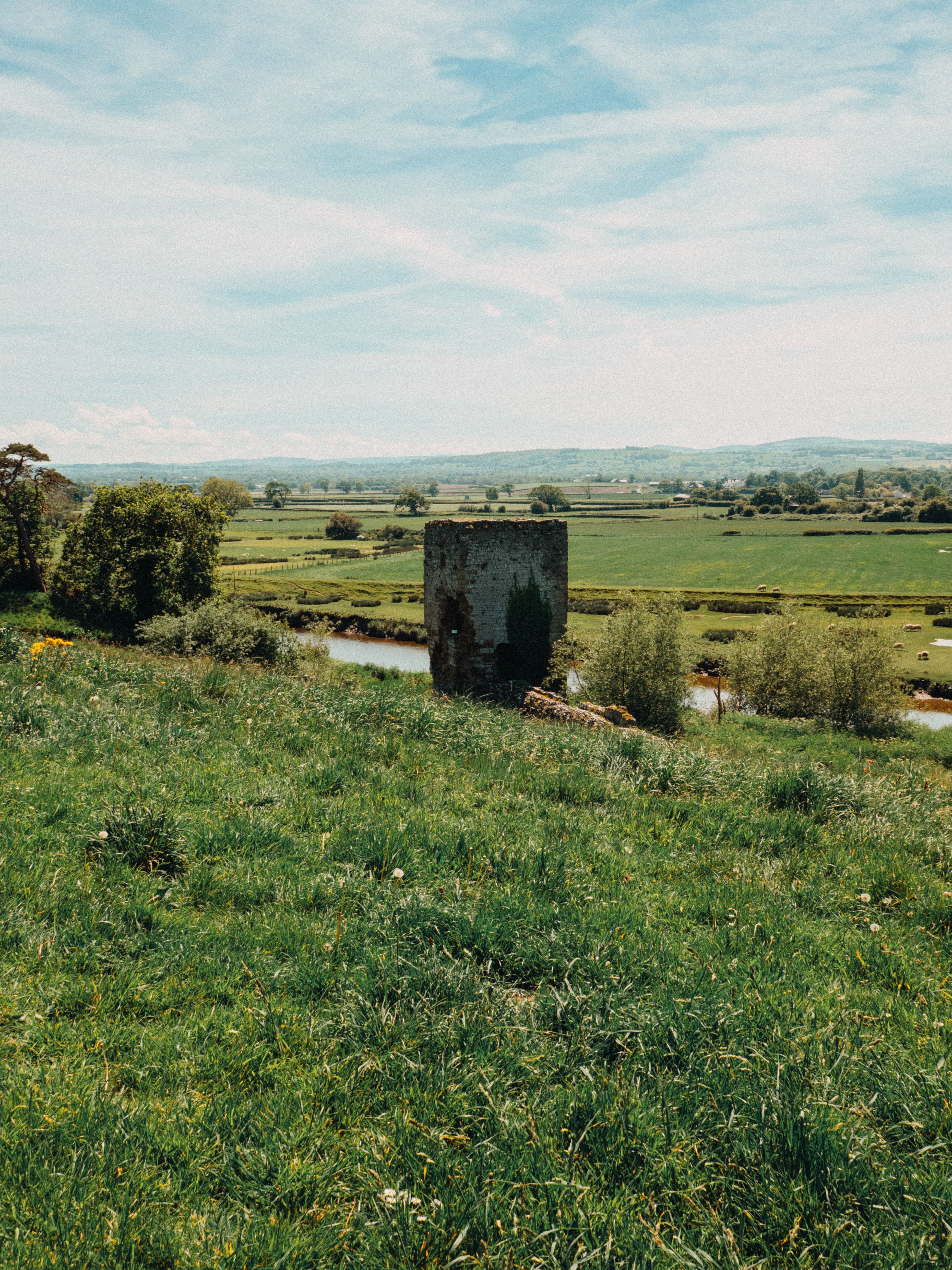 A peaceful view of Rhuddlan Castle ruins in the lush Welsh countryside on a sunny day.