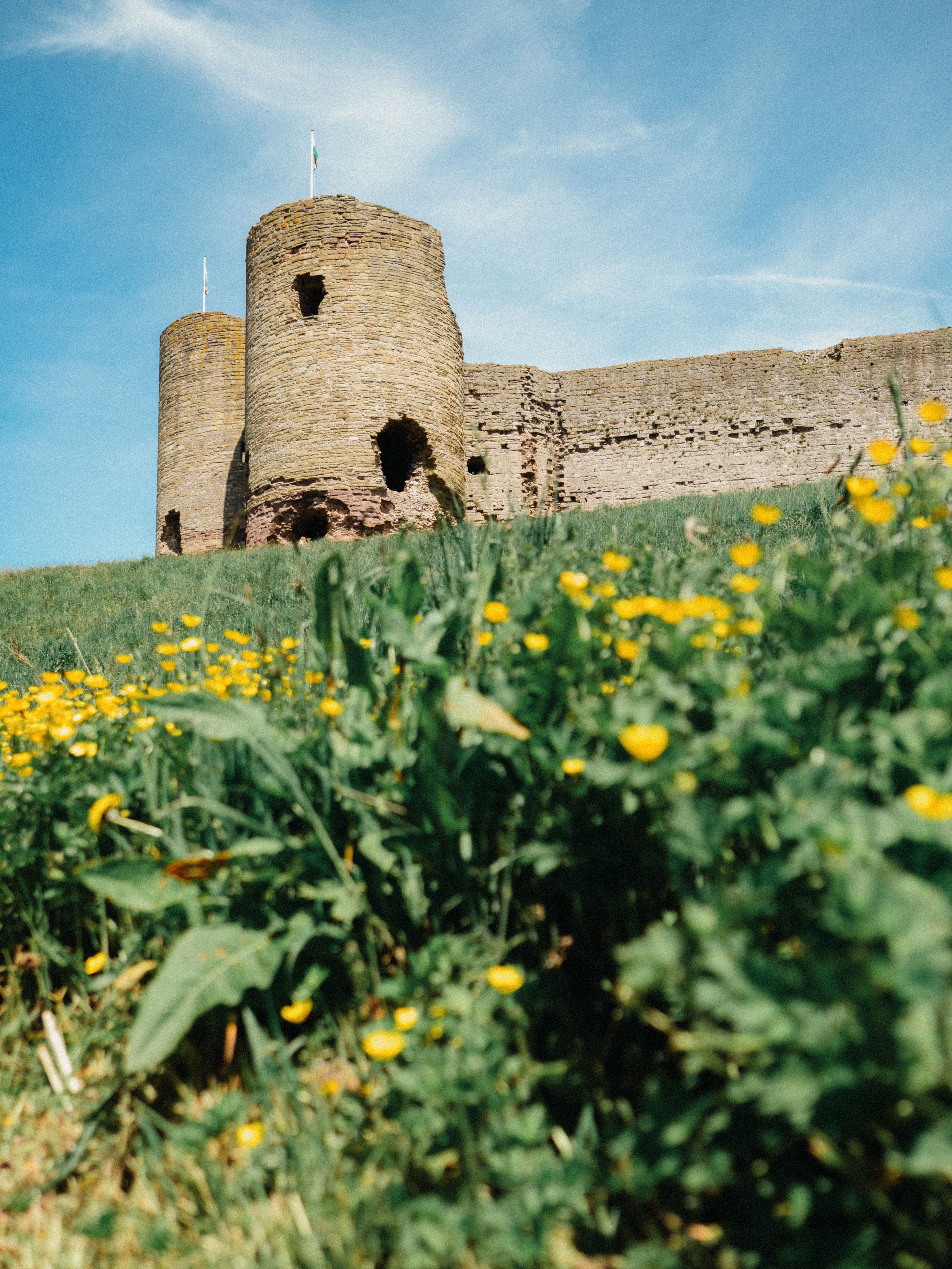 Rhuddlan Castle surrounded by vibrant yellow wildflowers under a clear blue sky