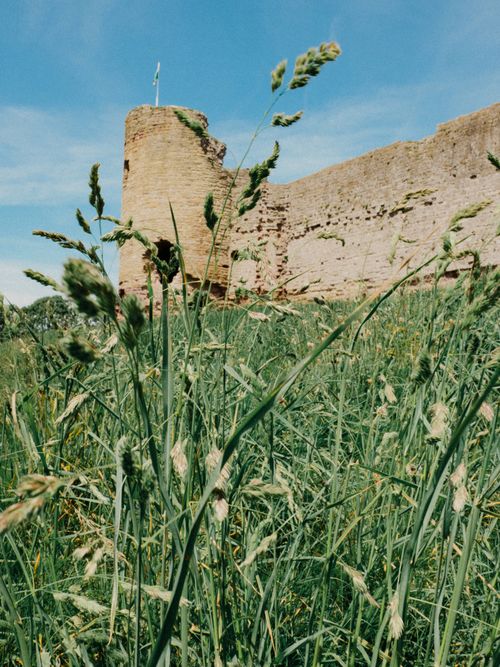 Free Explore the historic Rhuddlan Castle ruins amidst tall grass under a clear blue sky. Stock Photo