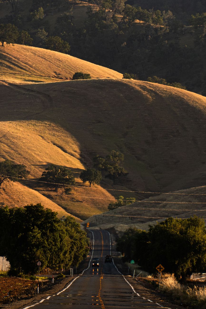 The foothills near Oroville, where Ishi, believed to be the last surviving Yahi person, emerged in 1911.