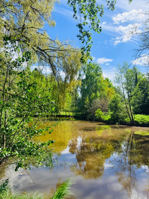 Free Serene pond surrounded by lush greenery under a bright blue sky in Vantaa, Finland, in summertime. Stock Photo