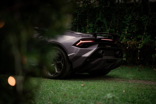A sleek luxury sports car parked on green grass surrounded by ambient garden lights.