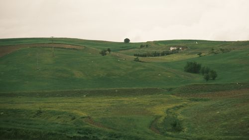 Free Tranquil rural scene of lush green hills with a distant farm under an overcast sky. Stock Photo