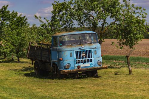 Free A rustic blue truck parked in a lush green field with trees, evoking nostalgia and rural charm. Stock Photo