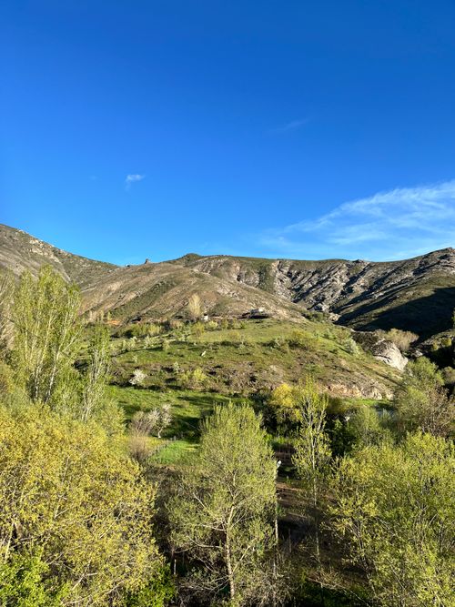 Free A vivid springtime mountain landscape with lush greenery and a clear blue sky. Stock Photo