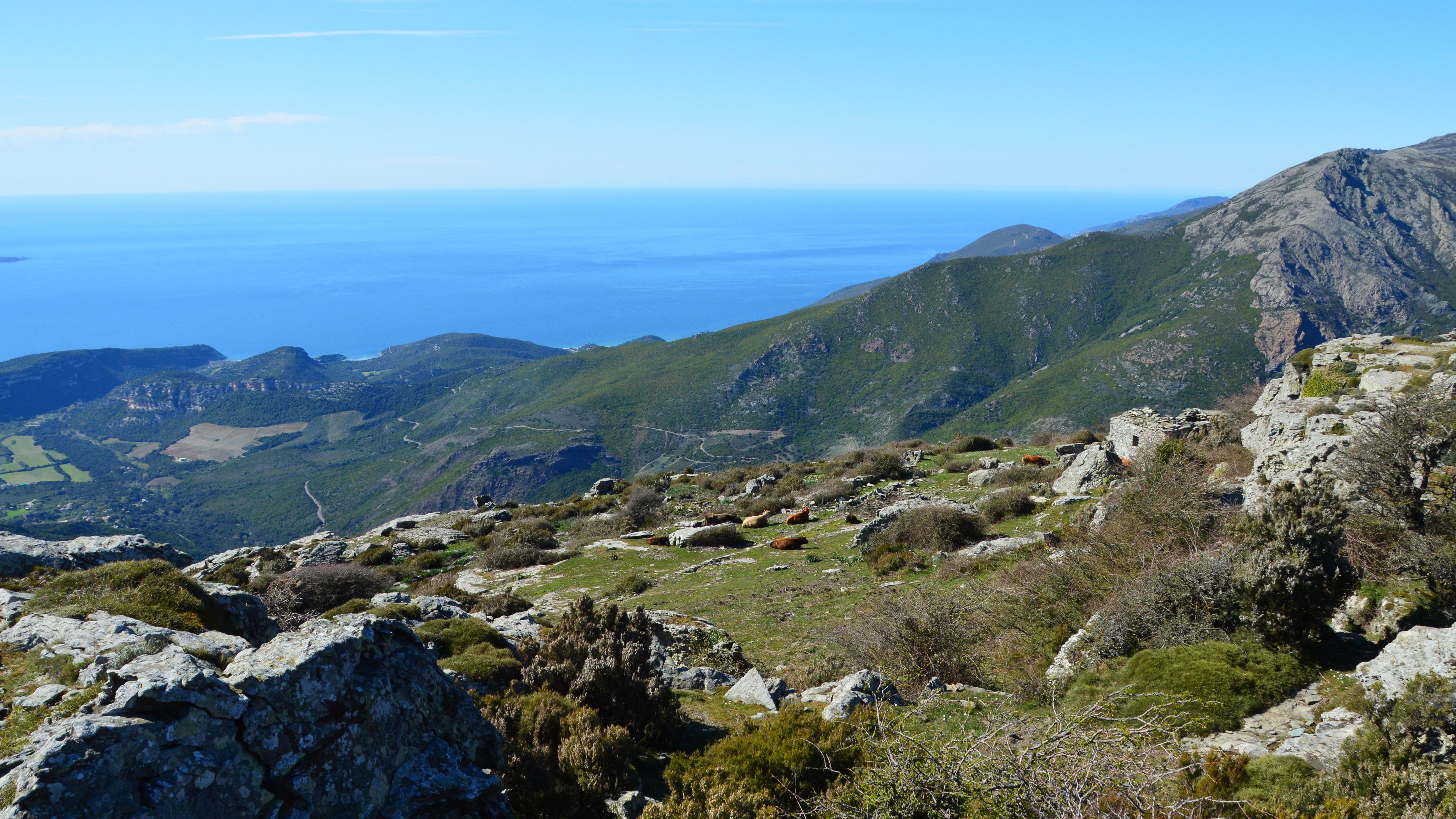 Breathtaking view of Bastia, Corsica with rugged hills overlooking the bright blue Mediterranean Sea. Breathtaking view of Bastia, Corsica with rugged hills overlooking the bright blue Mediterranean Sea.