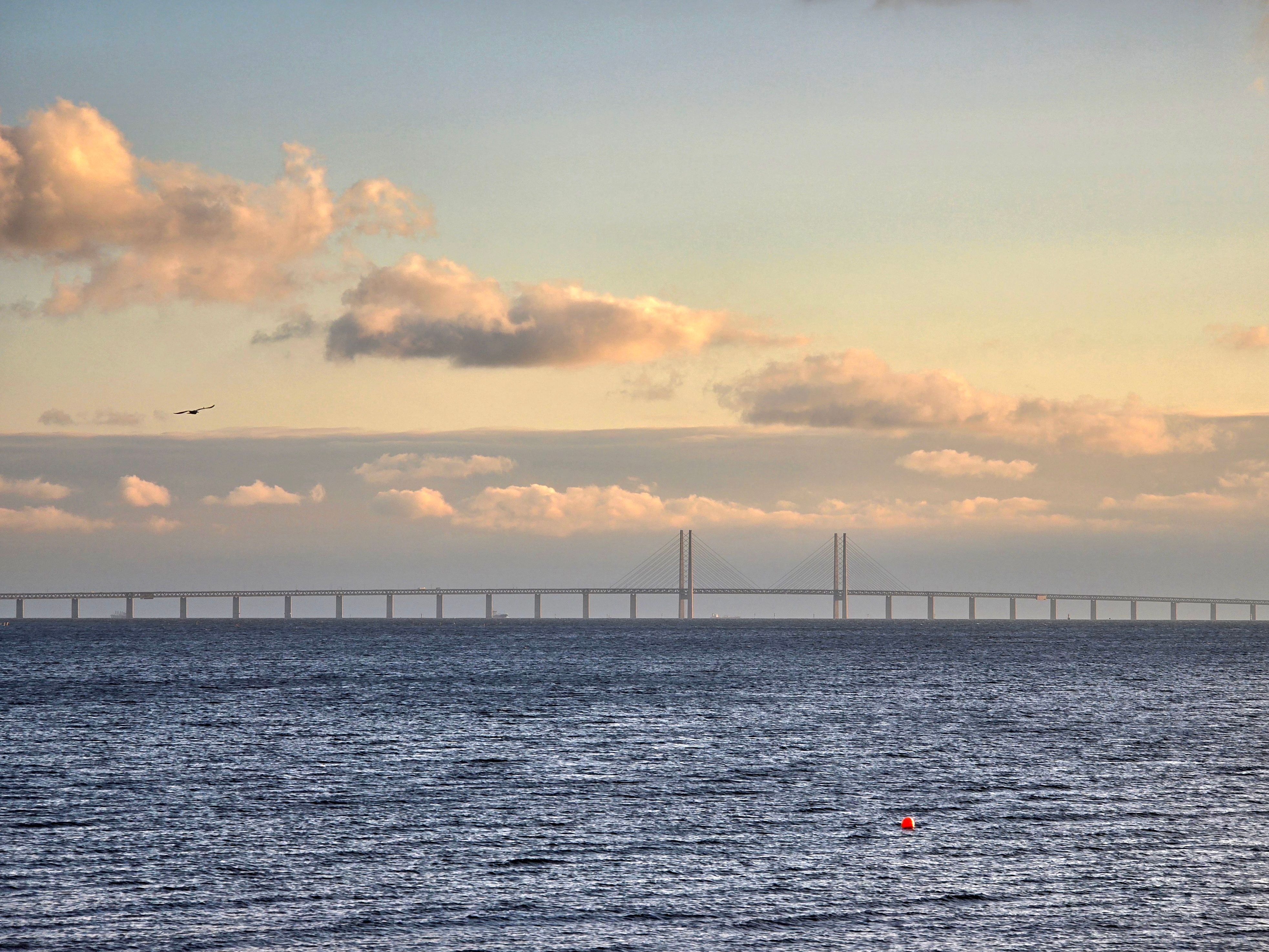 malmo sweden oresund bridge evening lights water crossing denmark