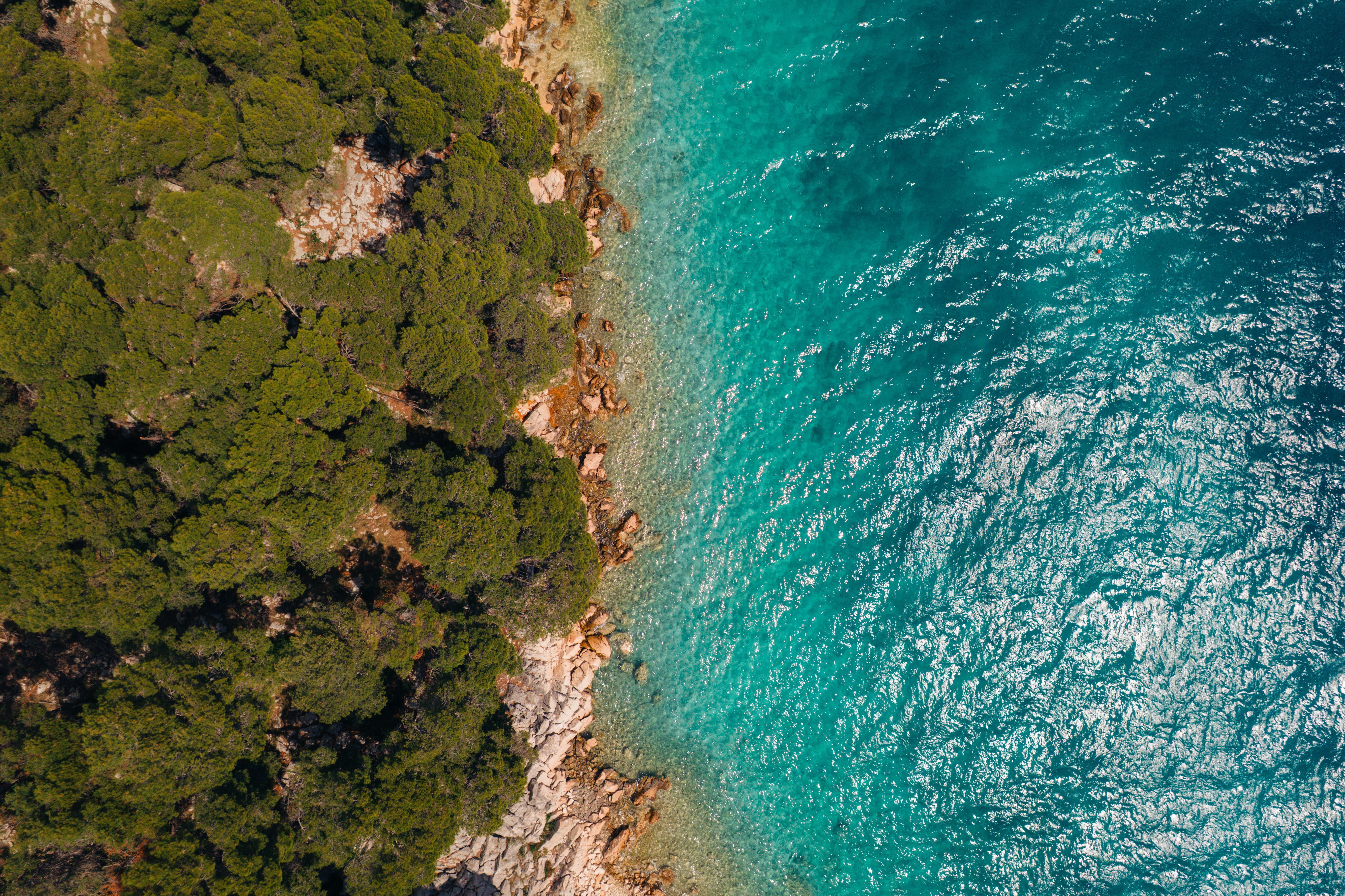 Aerial View of Lush Coastline Meeting Turquoise Sea · Free Stock Photo