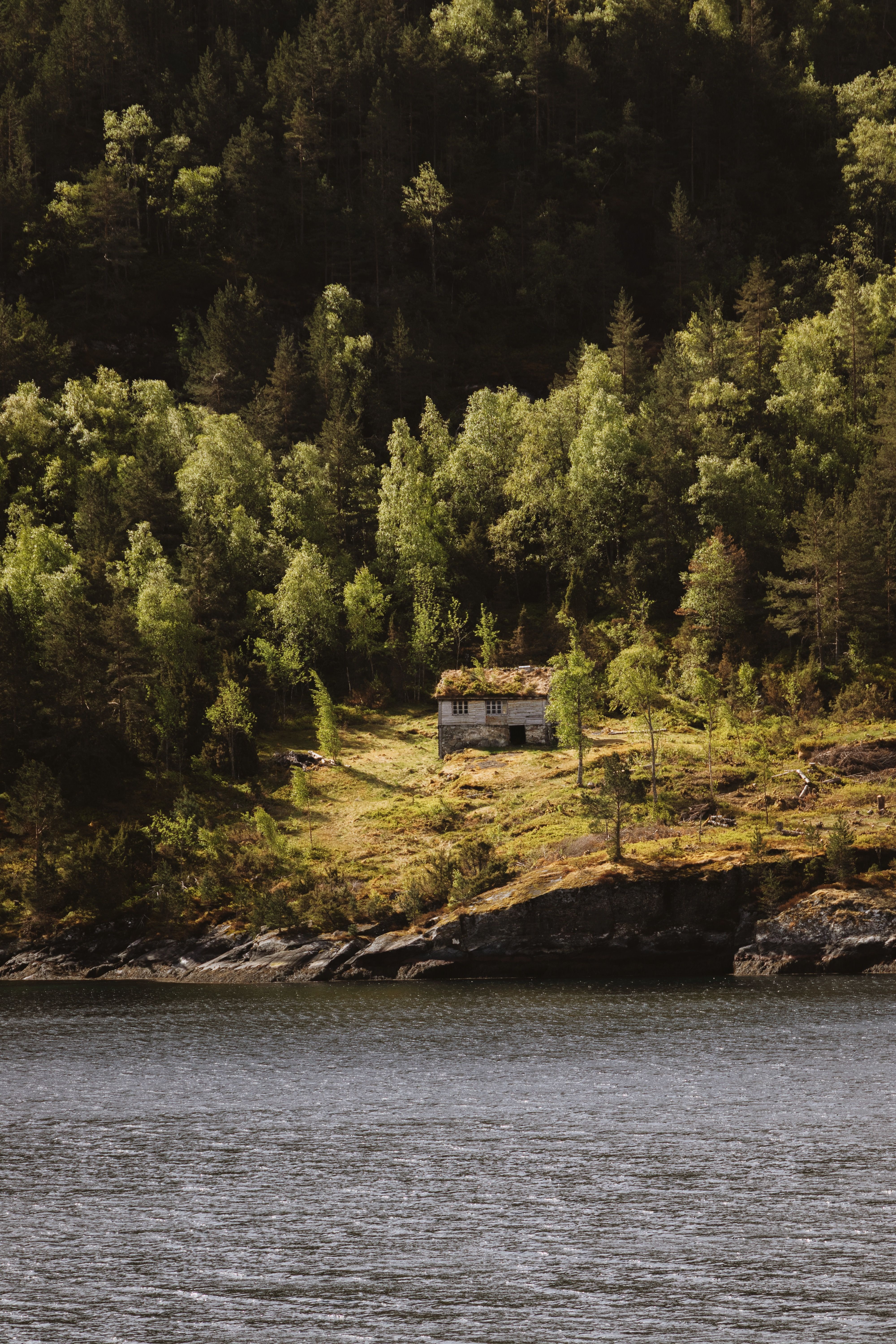 Idyllic cabin by a lakeside in Norway, surrounded by lush forest.