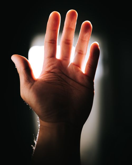 Free A detailed close-up of a hand with light filtering through the fingers, creating dramatic shadows. Stock Photo