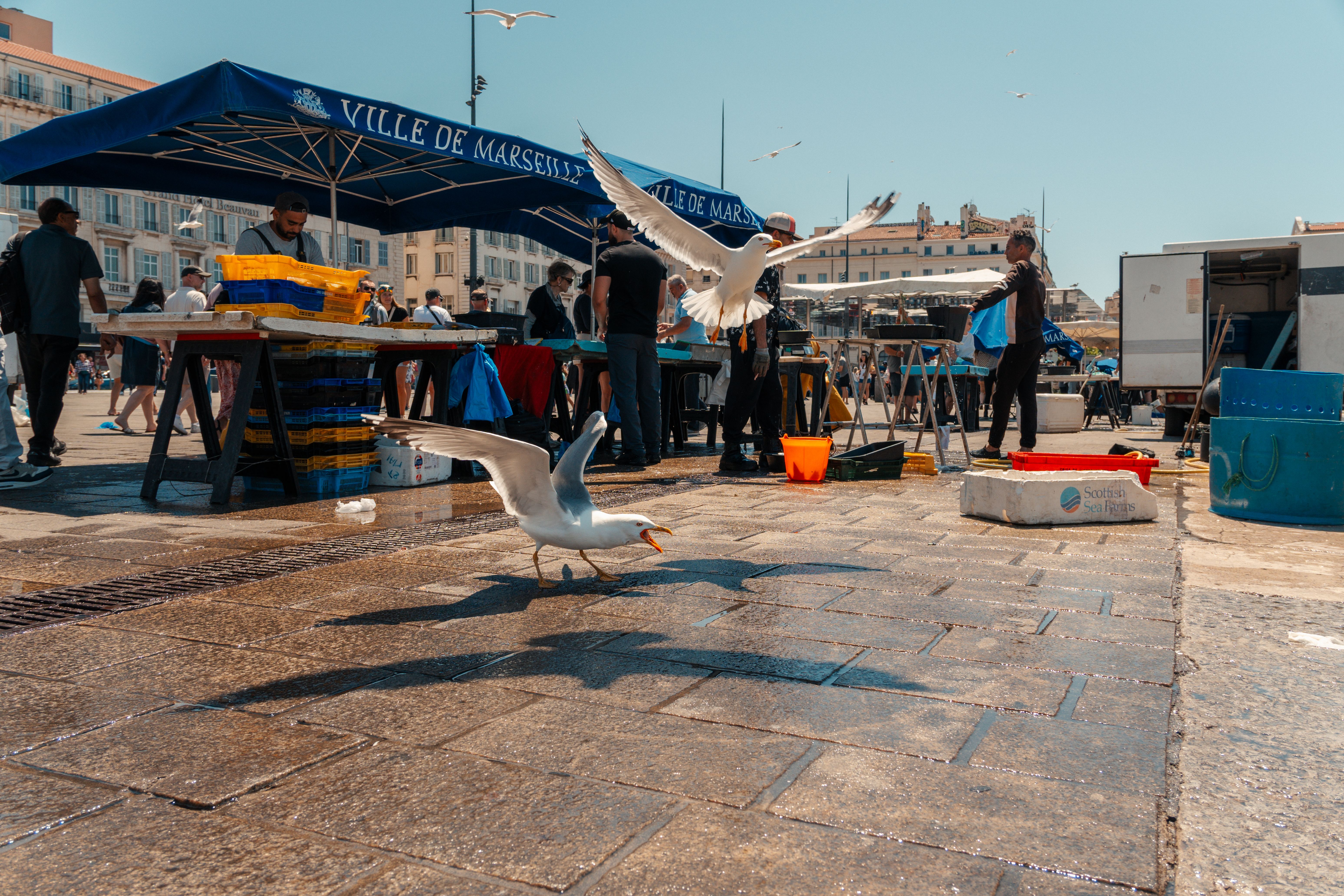 Des étals vides sur un marché en plein air sous le soleil méditerranéen