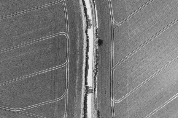 An aerial monochrome of geometric farmland. Photo by Altaf Shah on Pexels