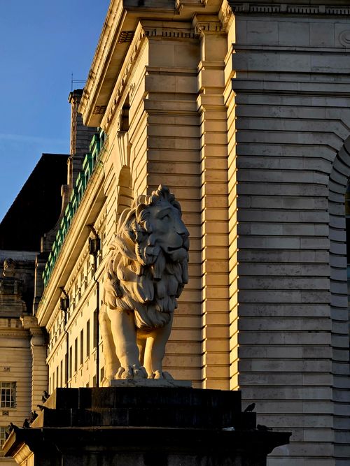 Free Sunlit lion statue on a historic building facade, showcasing architectural detail. Stock Photo