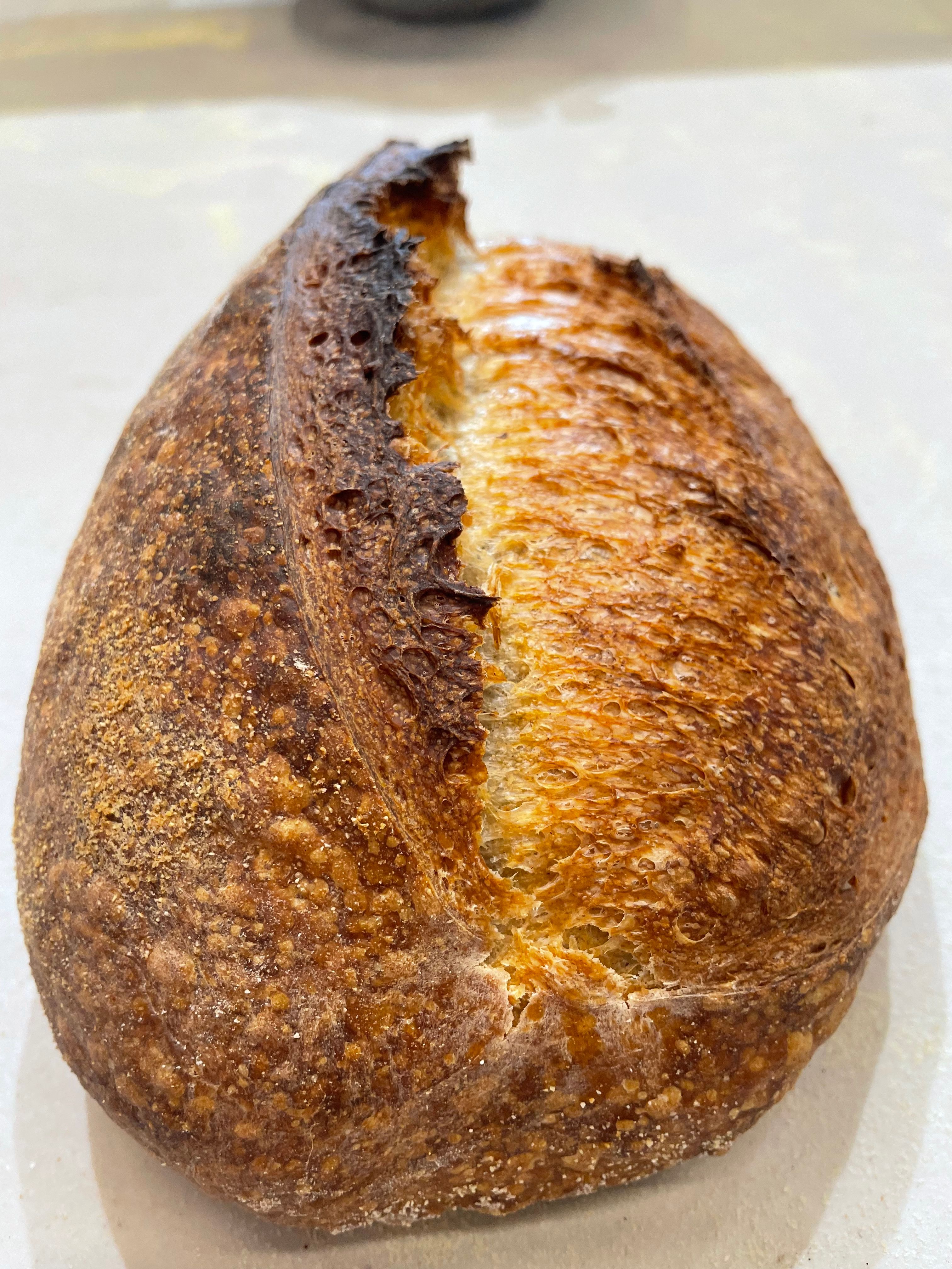 A freshly baked sourdough bread with a crispy golden crust on a white surface.