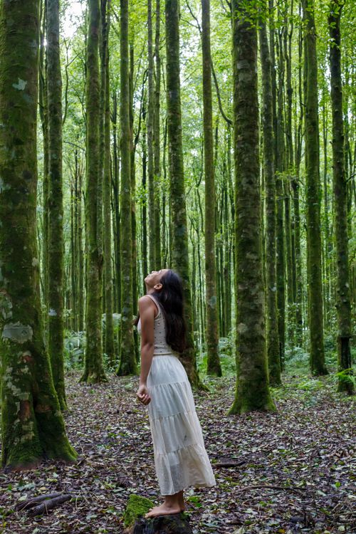 Free A woman in a white dress looks up among tall trees in a lush forest, evoking tranquility and nature appreciation. Stock Photo