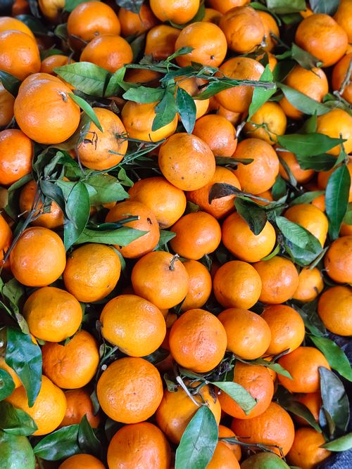 Free A vibrant display of fresh organic tangerines with green leaves in Baler, Philippines. Stock Photo