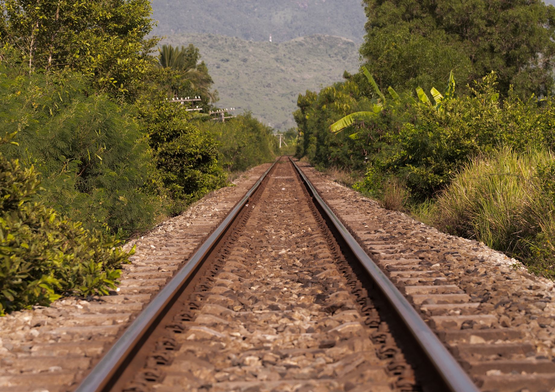A serene view of railroad tracks surrounded by lush greenery and distant hills.