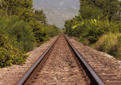 A serene view of railroad tracks surrounded by lush greenery and distant hills.