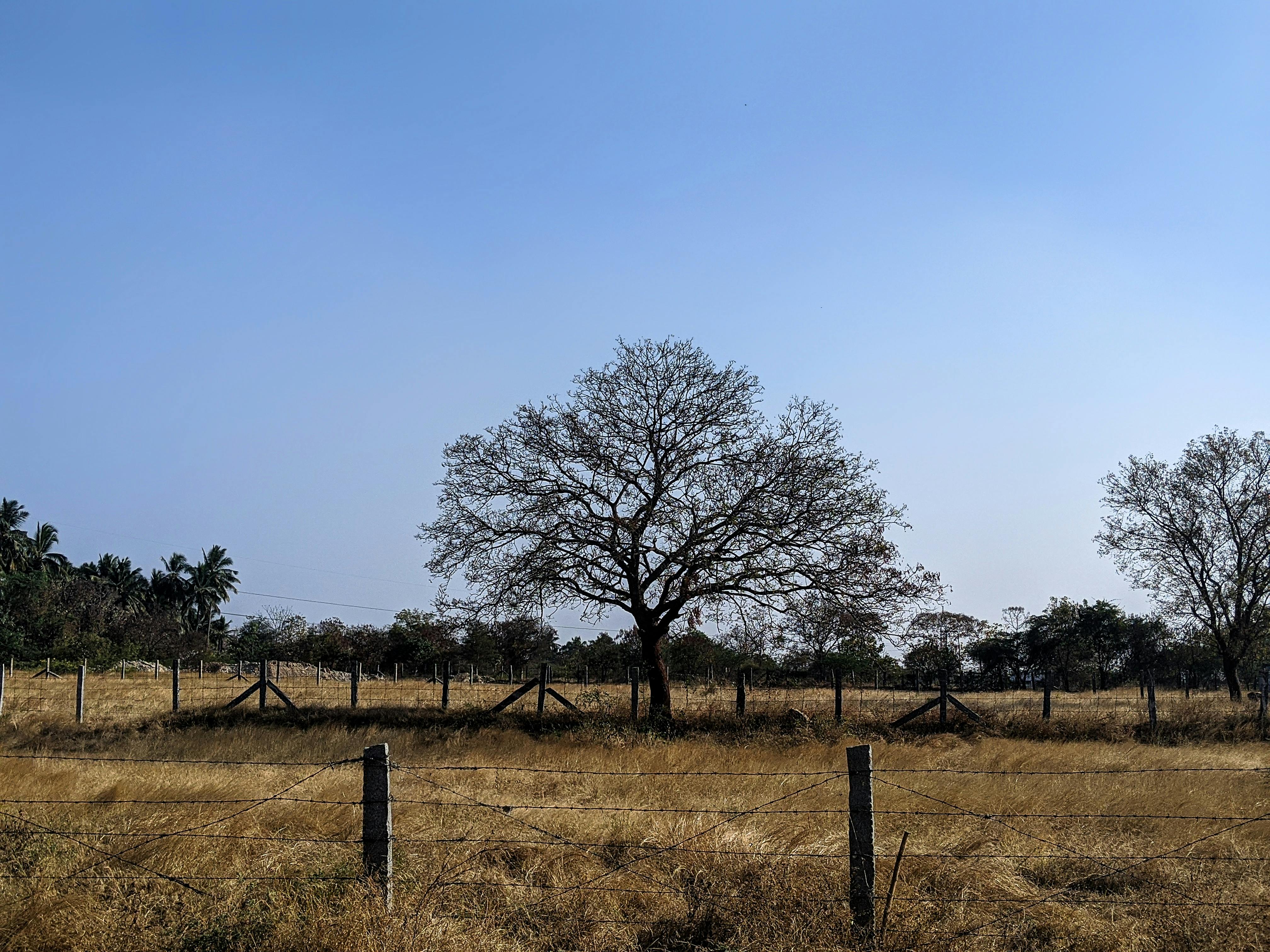 Mithul Varshan · Photography