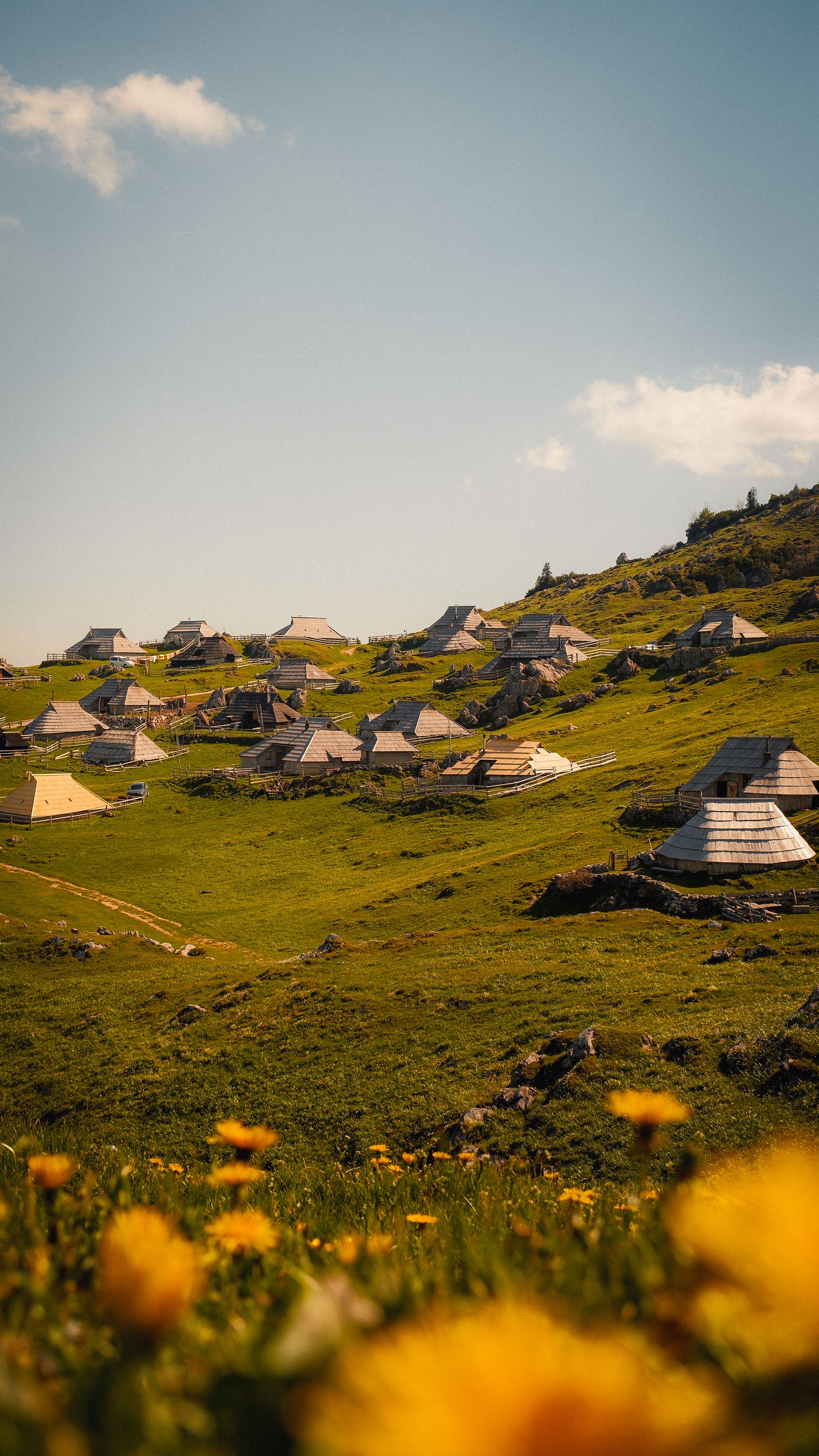 Charming alpine village with rustic huts on a sunny hillside, surrounded by vibrant wildflowers.