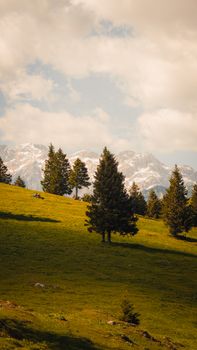 Image by Zak Mogel